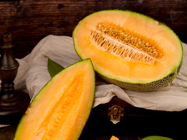 爱游戏登录入口地址基地展示三